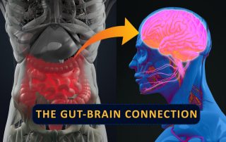 Image for Are the Brain and the Gut Connected?