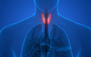 Foods to eat, and avoid, for managing thyroid conditions